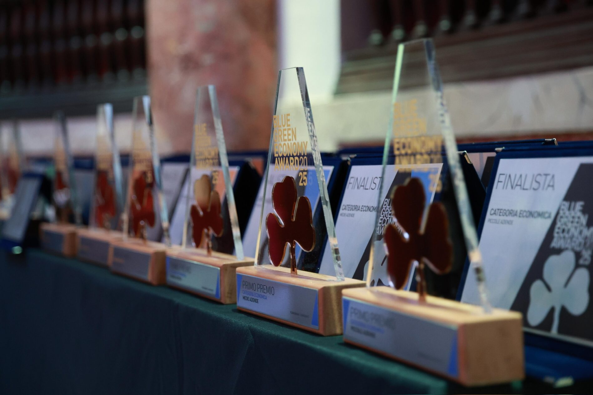 BLUE GREEN ECONOMY AWARD